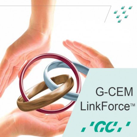 G-CEM LinkForce