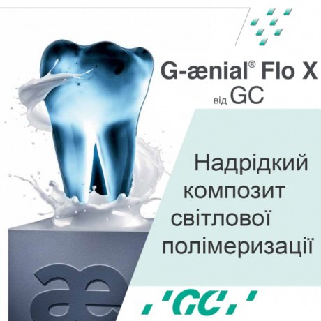 G-AENIAL Flo X
