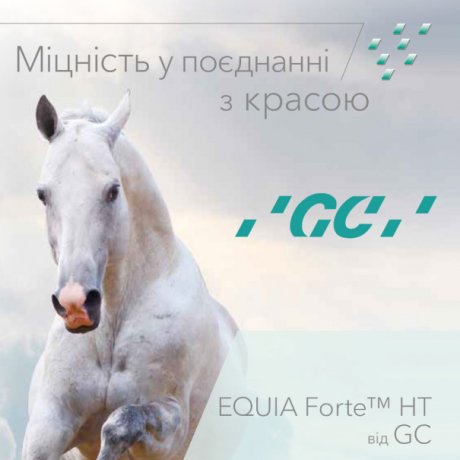 EQUIA FORTE HT