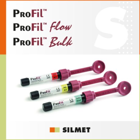 PROFIL SILMET, 2024